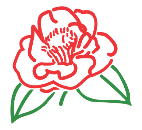 Professor C. S. Sargent