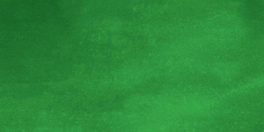 Camellia vernalis 'Yuletide Pink'