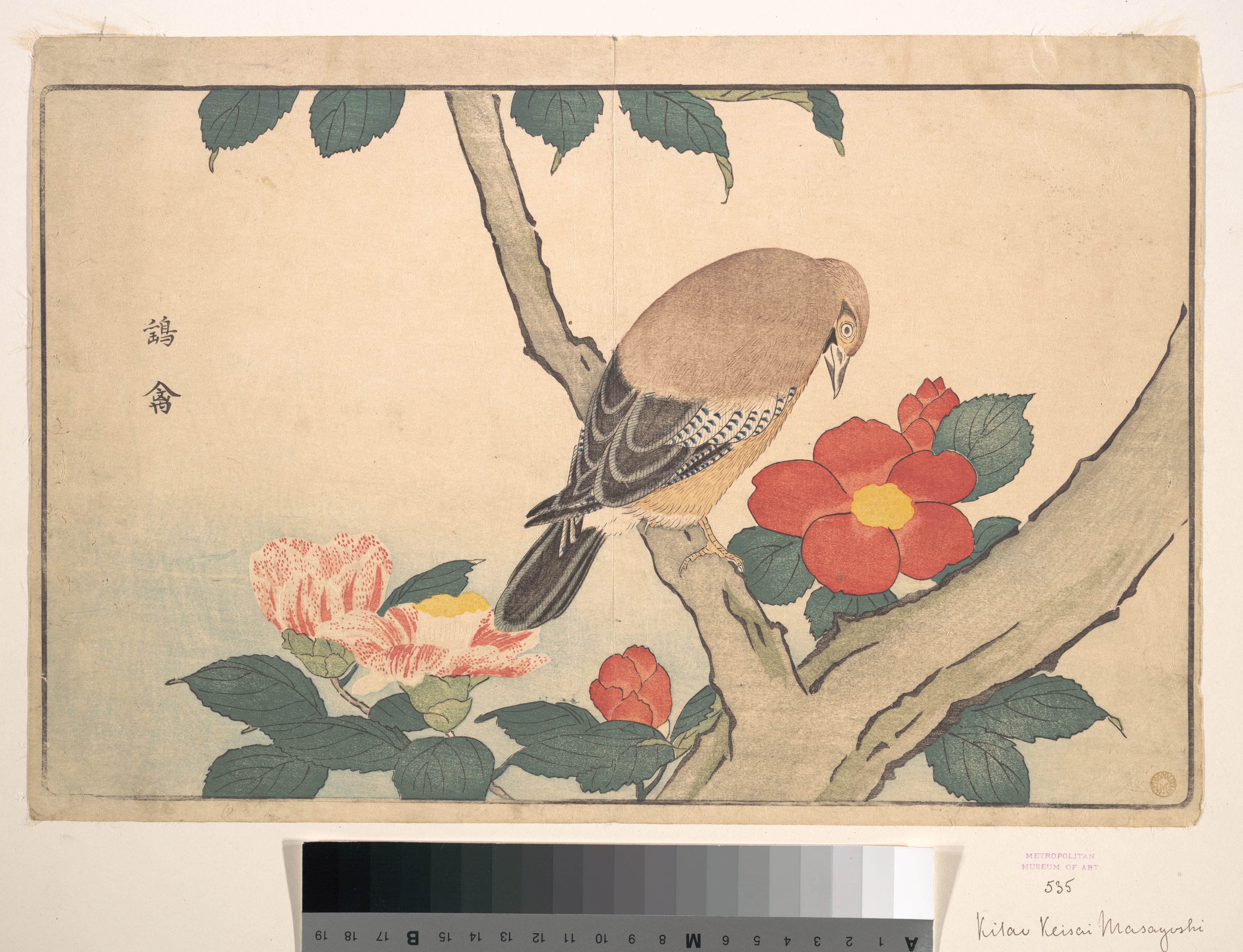 Camellia with Bird (Japanese Print)